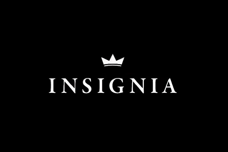 Insignia in Palmetto Estates